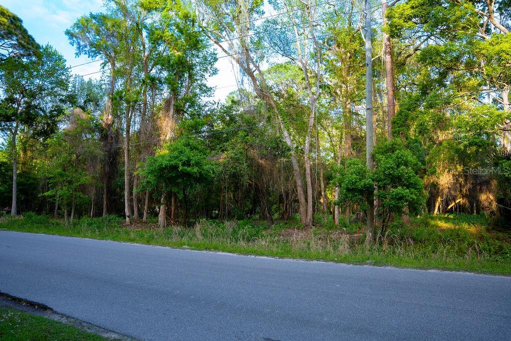 Image 4 of 13 For 172 Whispering Pines Road