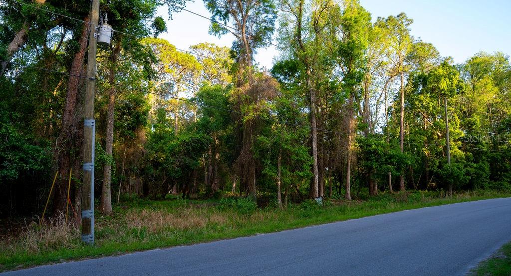 Image 5 of 13 For 172 Whispering Pines Road
