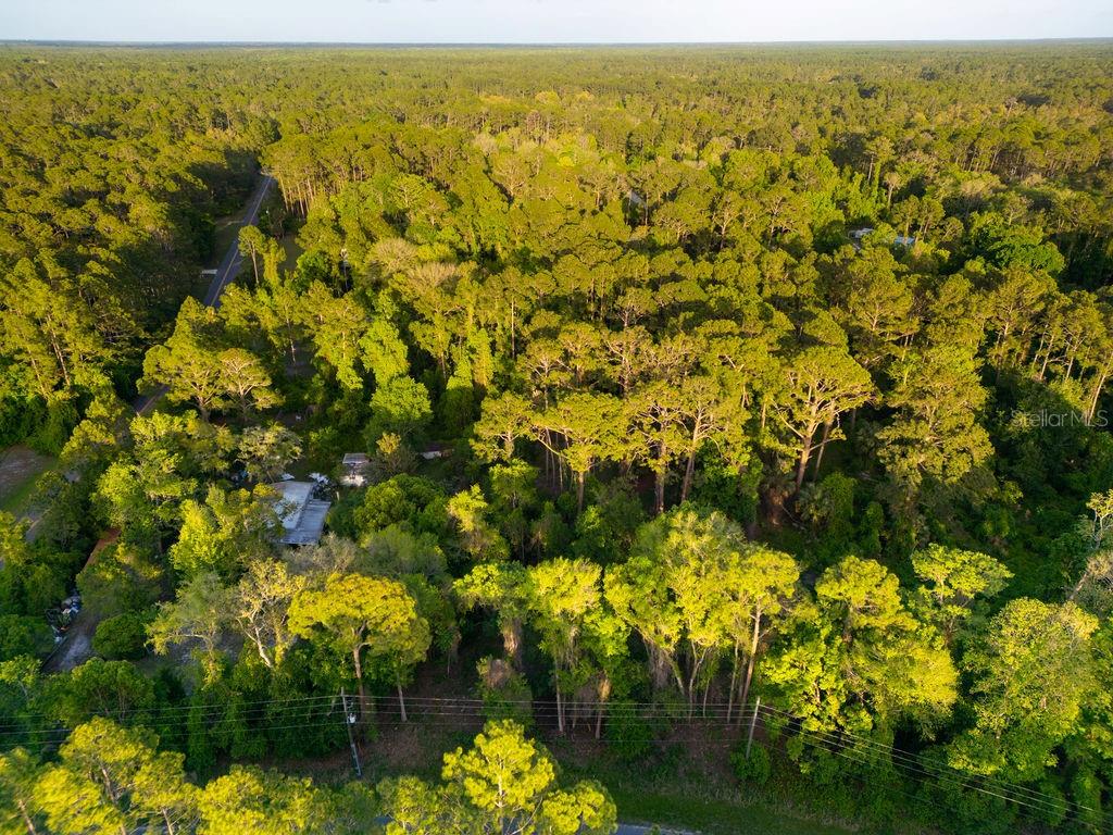Image 7 of 13 For 172 Whispering Pines Road
