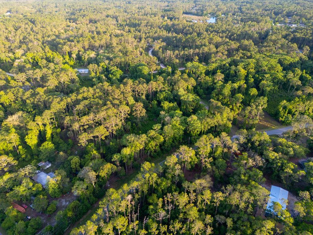 Image 9 of 13 For 172 Whispering Pines Road