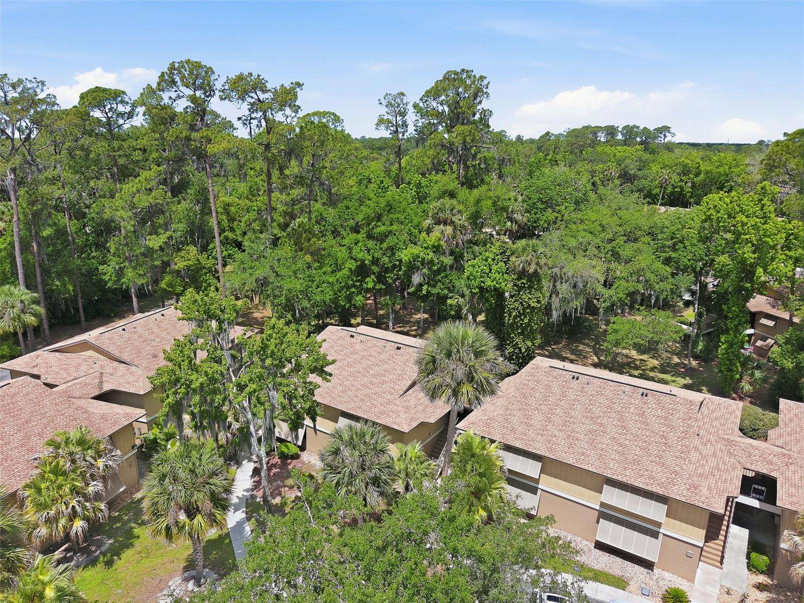 Image 21 of 28 For 120 Hibiscus Woods Court 9b