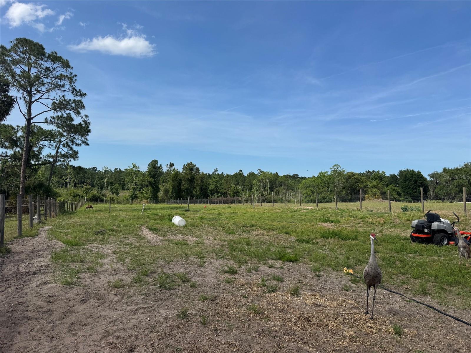 Image 8 of 12 For 807 Campbell Lane