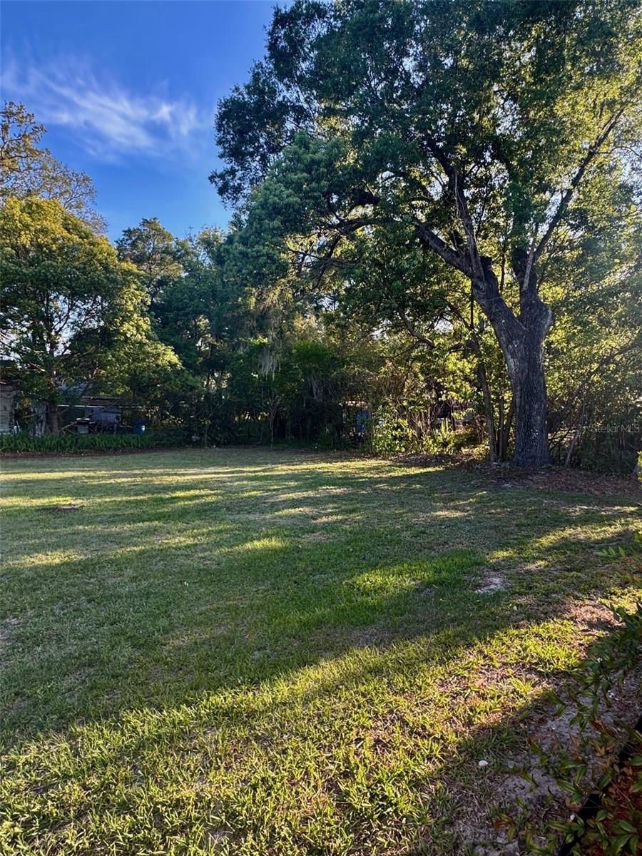 Image 14 of 44 For 910 French Avenue