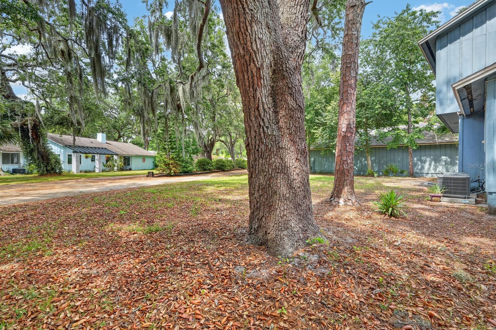 Image 43 of 64 For 26 Baymeadow Court