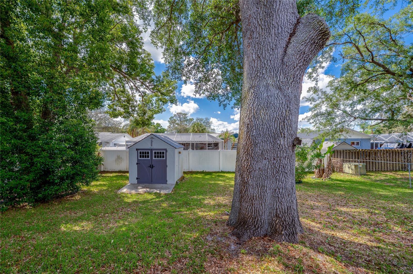 Image 31 of 41 For 667 George Miller Circle