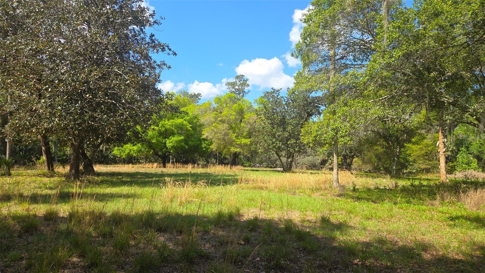 Details for 2140 St Johns River Road, ASTOR, FL 32102