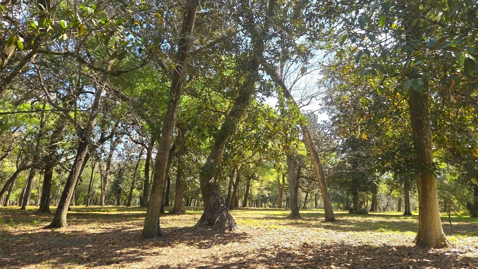 Image 10 of 13 For 2140 St Johns River Road