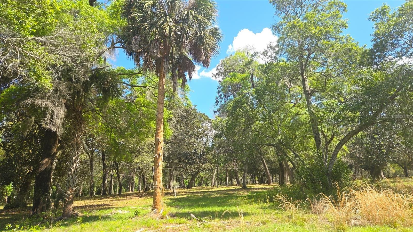 Image 11 of 13 For 2140 St Johns River Road