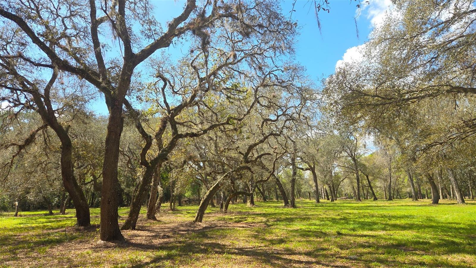 Image 12 of 13 For 2140 St Johns River Road
