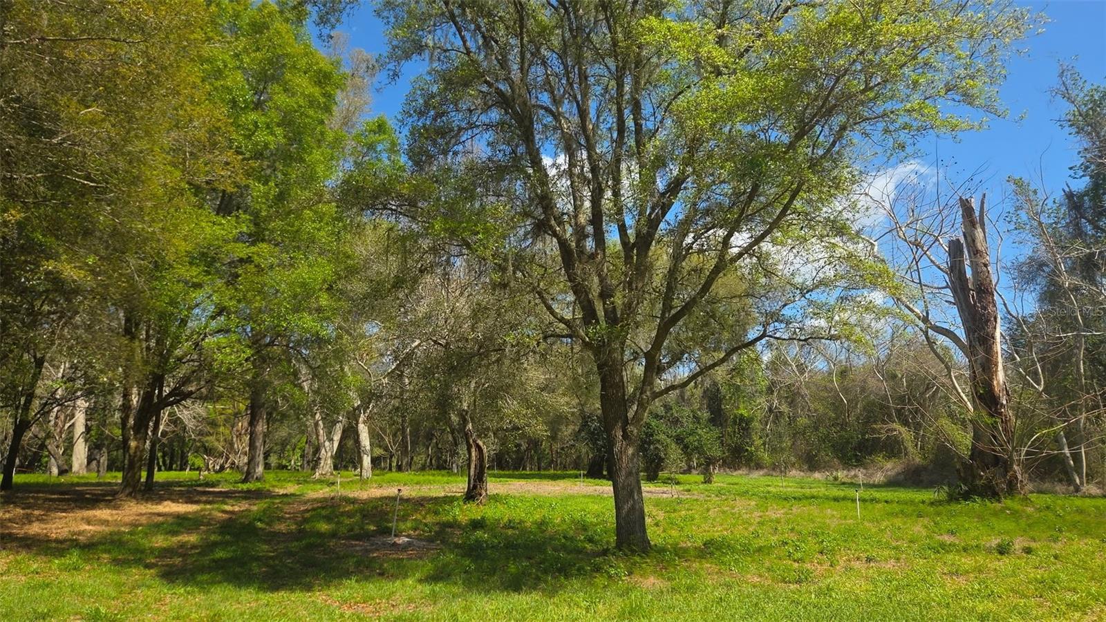 Image 13 of 13 For 2140 St Johns River Road