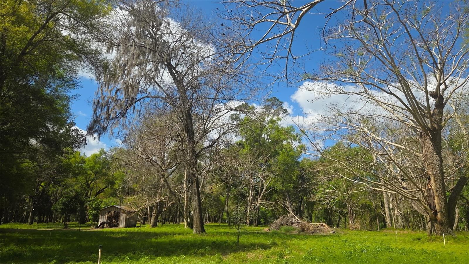 Image 2 of 13 For 2140 St Johns River Road