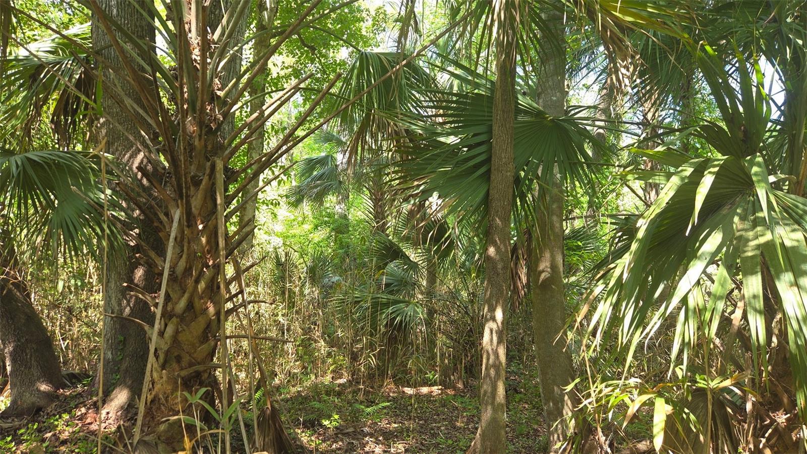 Image 3 of 13 For 2140 St Johns River Road
