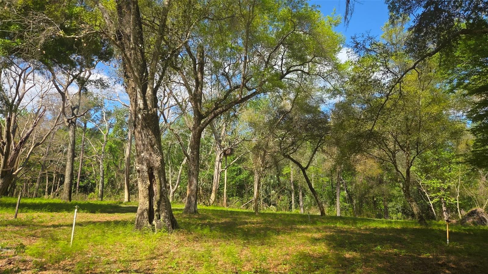 Image 4 of 13 For 2140 St Johns River Road