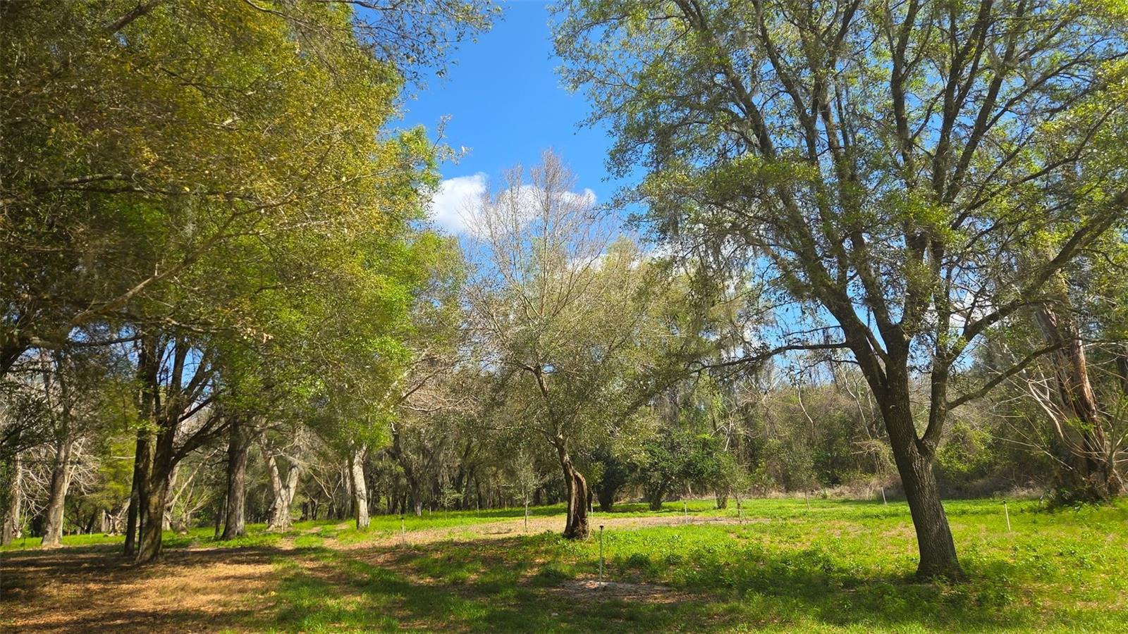 Image 6 of 13 For 2140 St Johns River Road