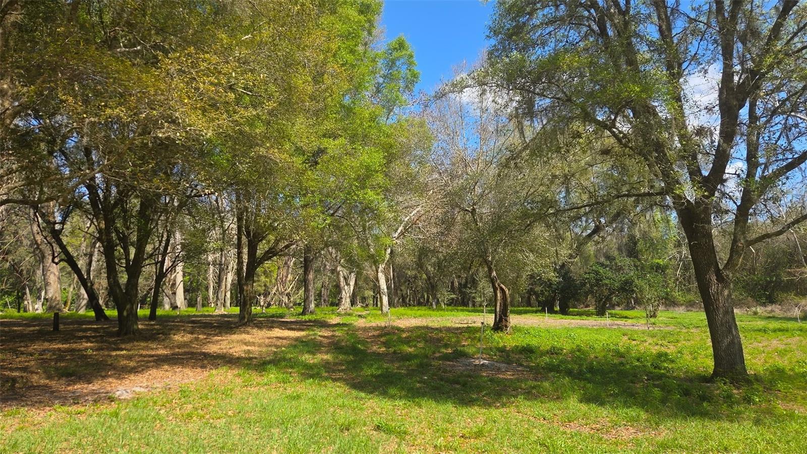 Image 7 of 13 For 2140 St Johns River Road