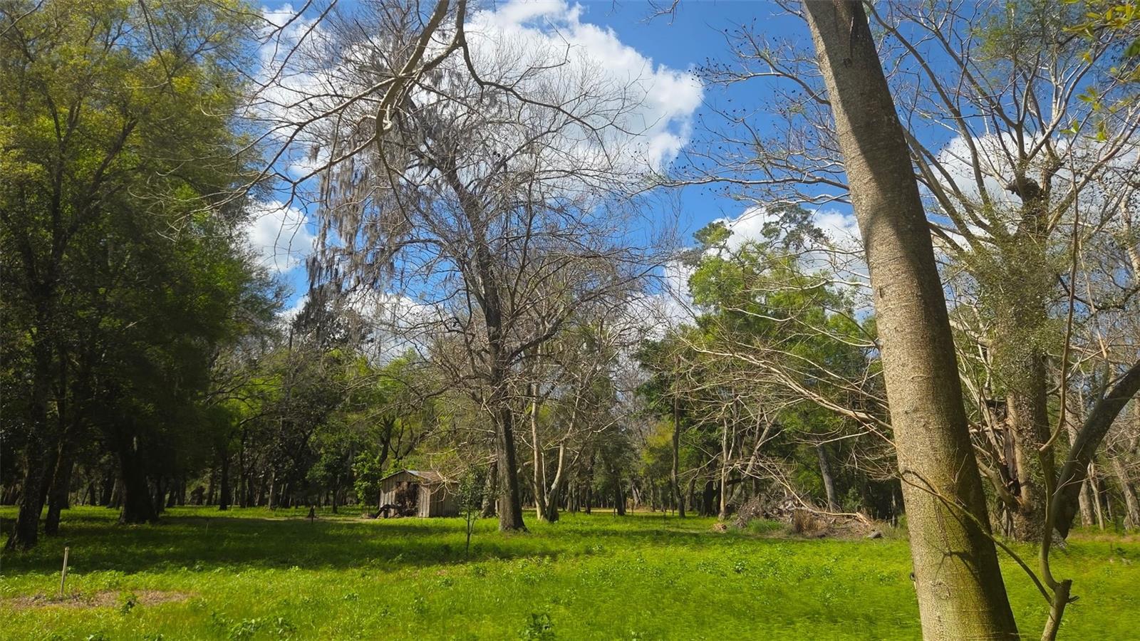 Image 8 of 13 For 2140 St Johns River Road