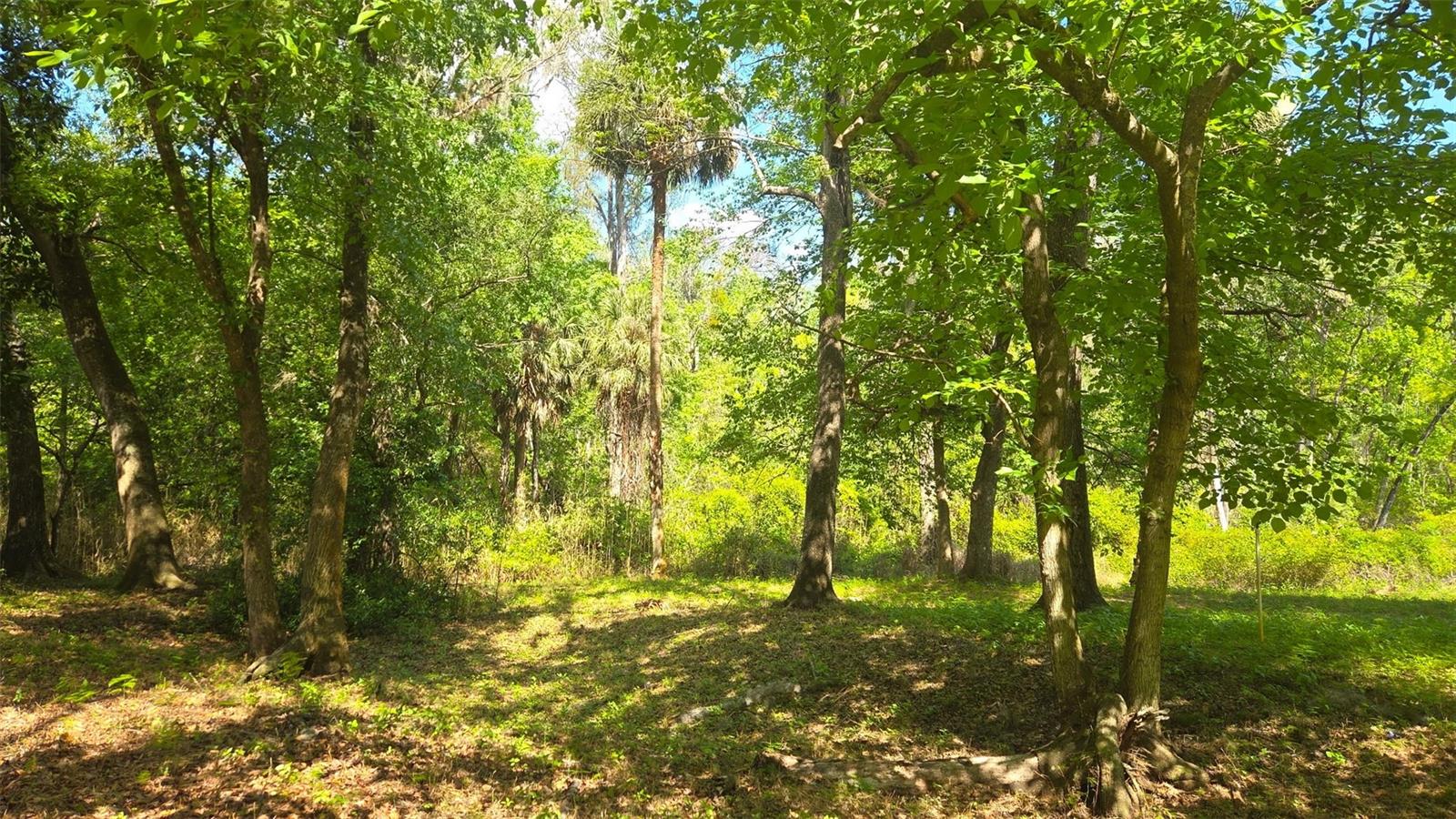 Image 9 of 13 For 2140 St Johns River Road