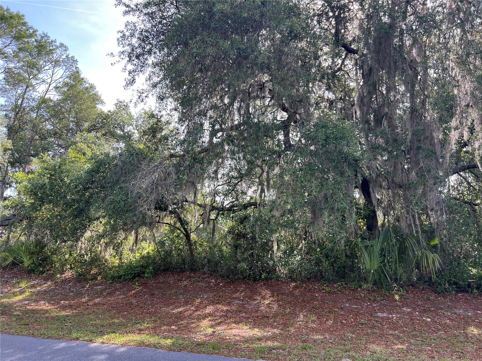Image 2 of 10 For Ranchero Road