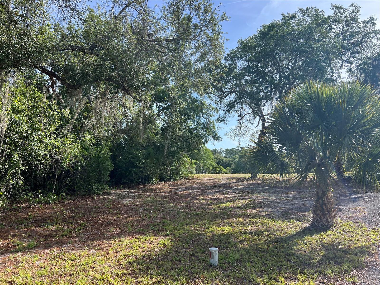 Image 4 of 10 For Ranchero Road