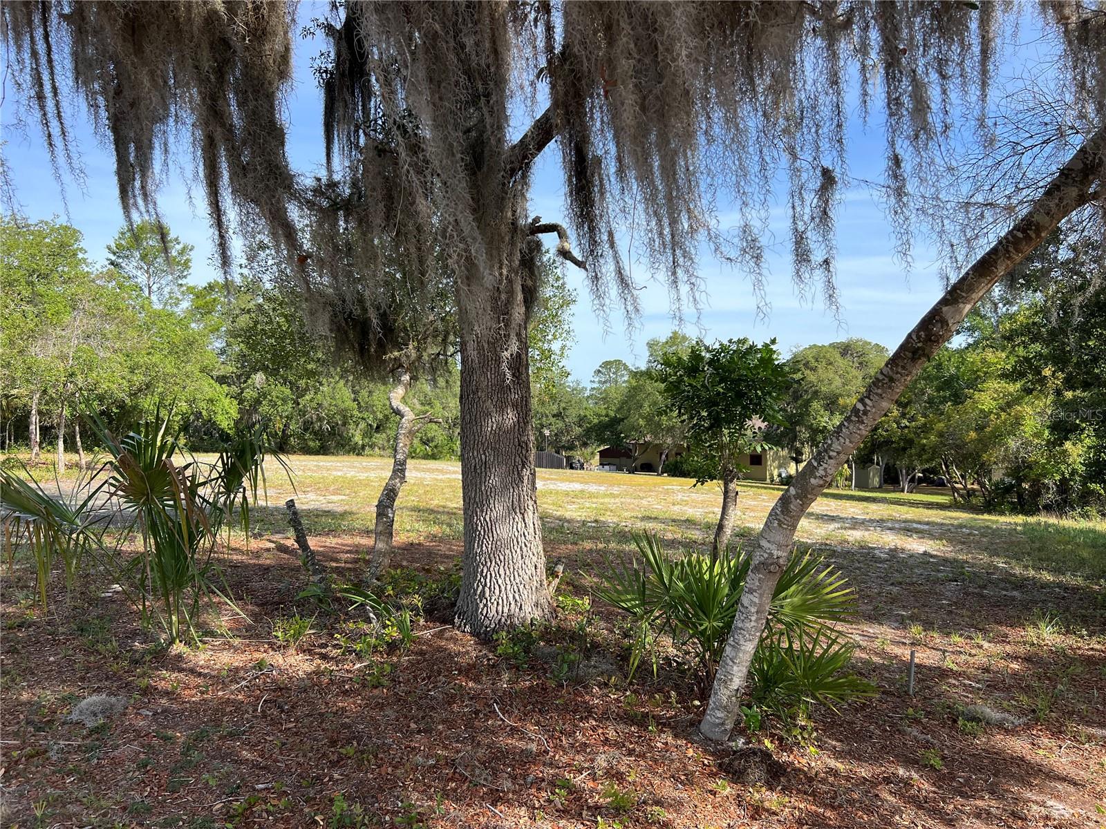 Image 7 of 10 For Ranchero Road
