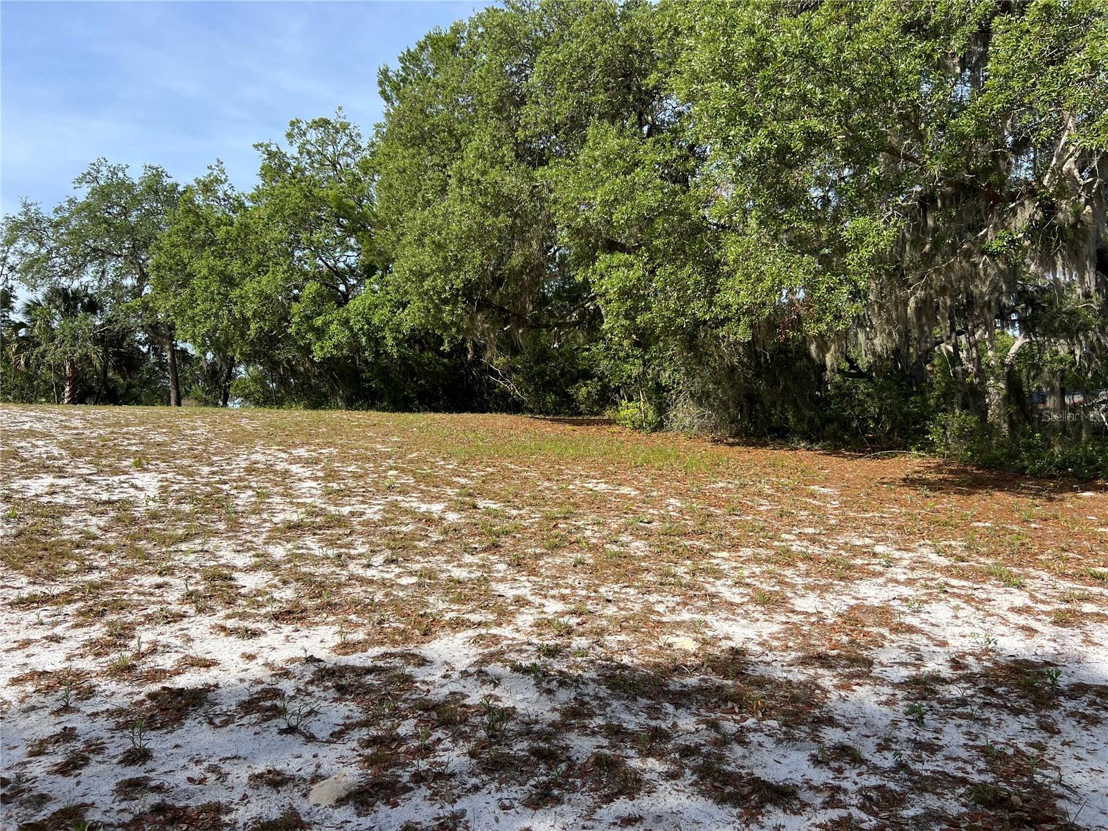 Image 8 of 10 For Ranchero Road