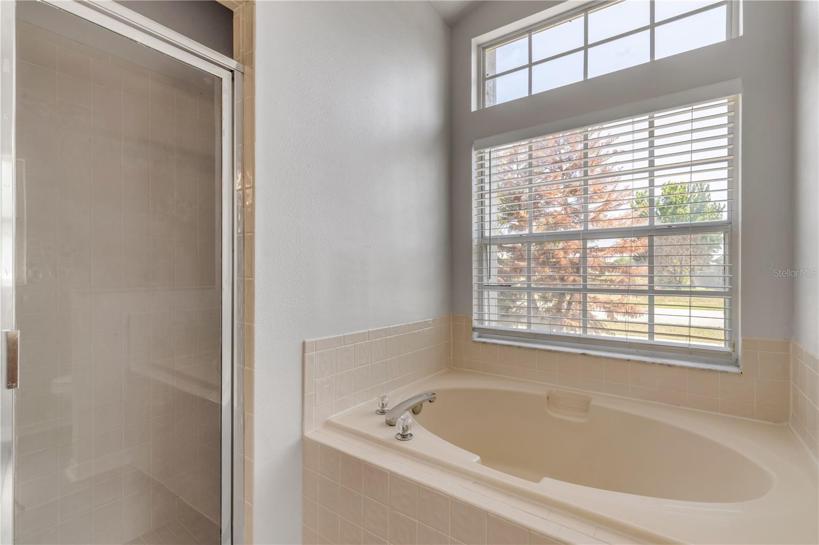 Image 35 of 44 For 20259 Melville Street