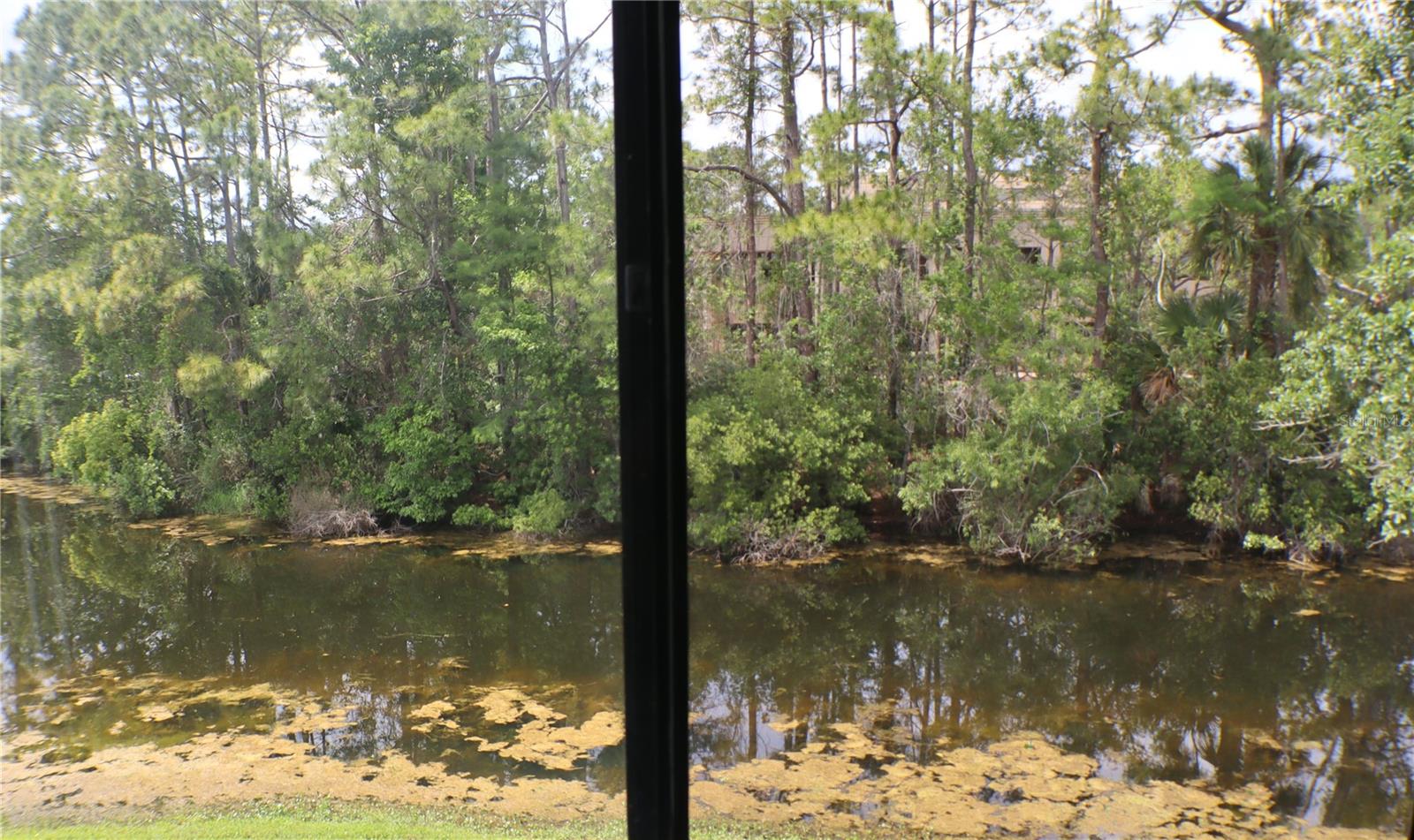 Image 17 of 45 For 100 Kingbird Circle 1