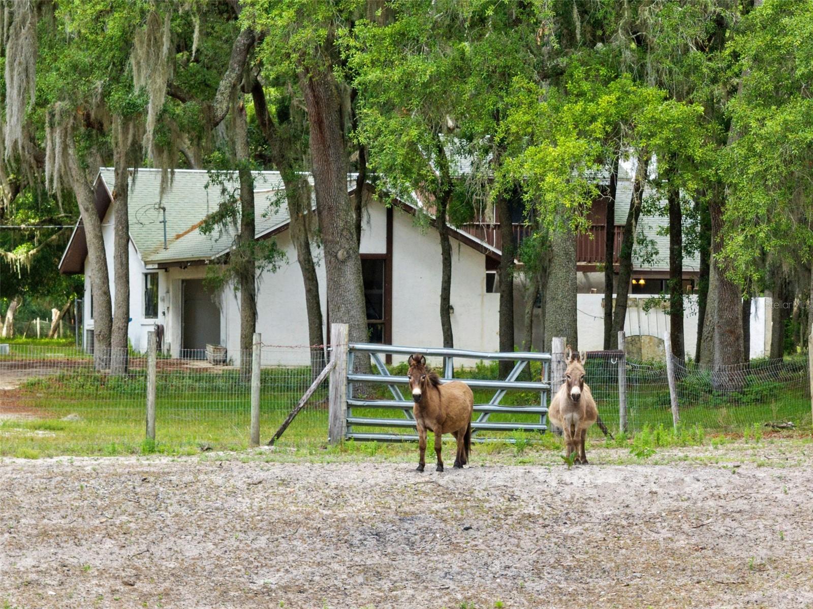 Image 28 of 34 For 1142 Buckles Road