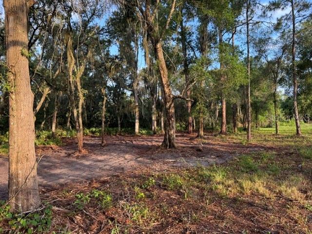 Image 3 of 6 For Spring Garden Ranch Rd