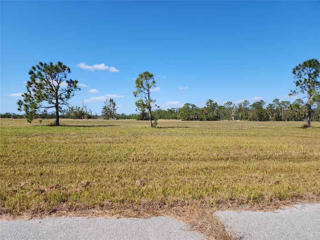 Image 6 of 17 For 14108 Tilefish Court