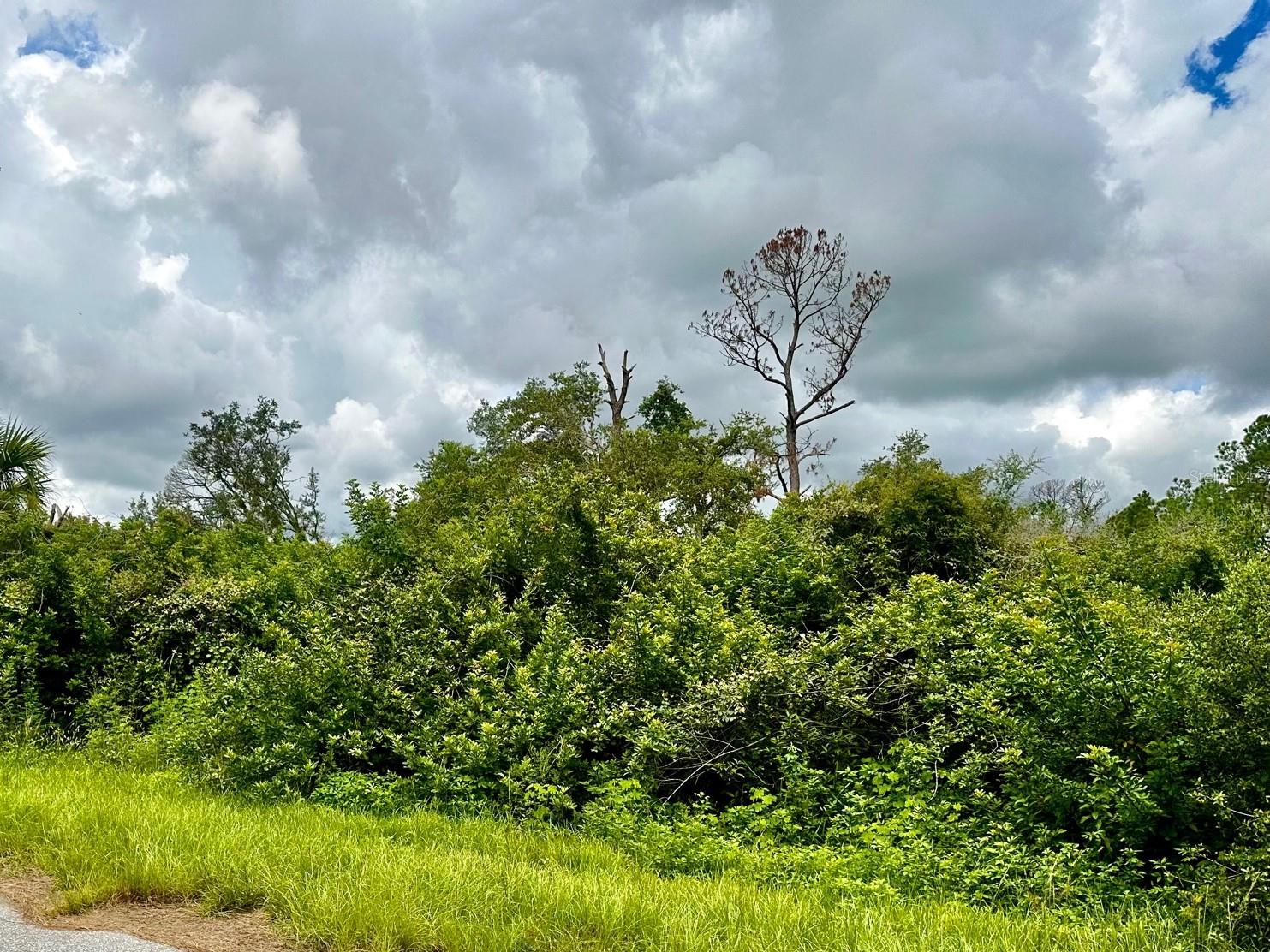 Listing photo id 1 for Raven Street