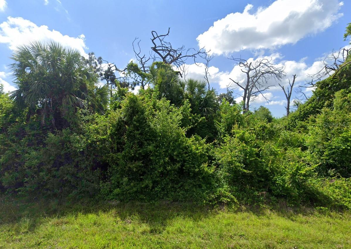 Image 7 of 7 For 7146 Mineola Road