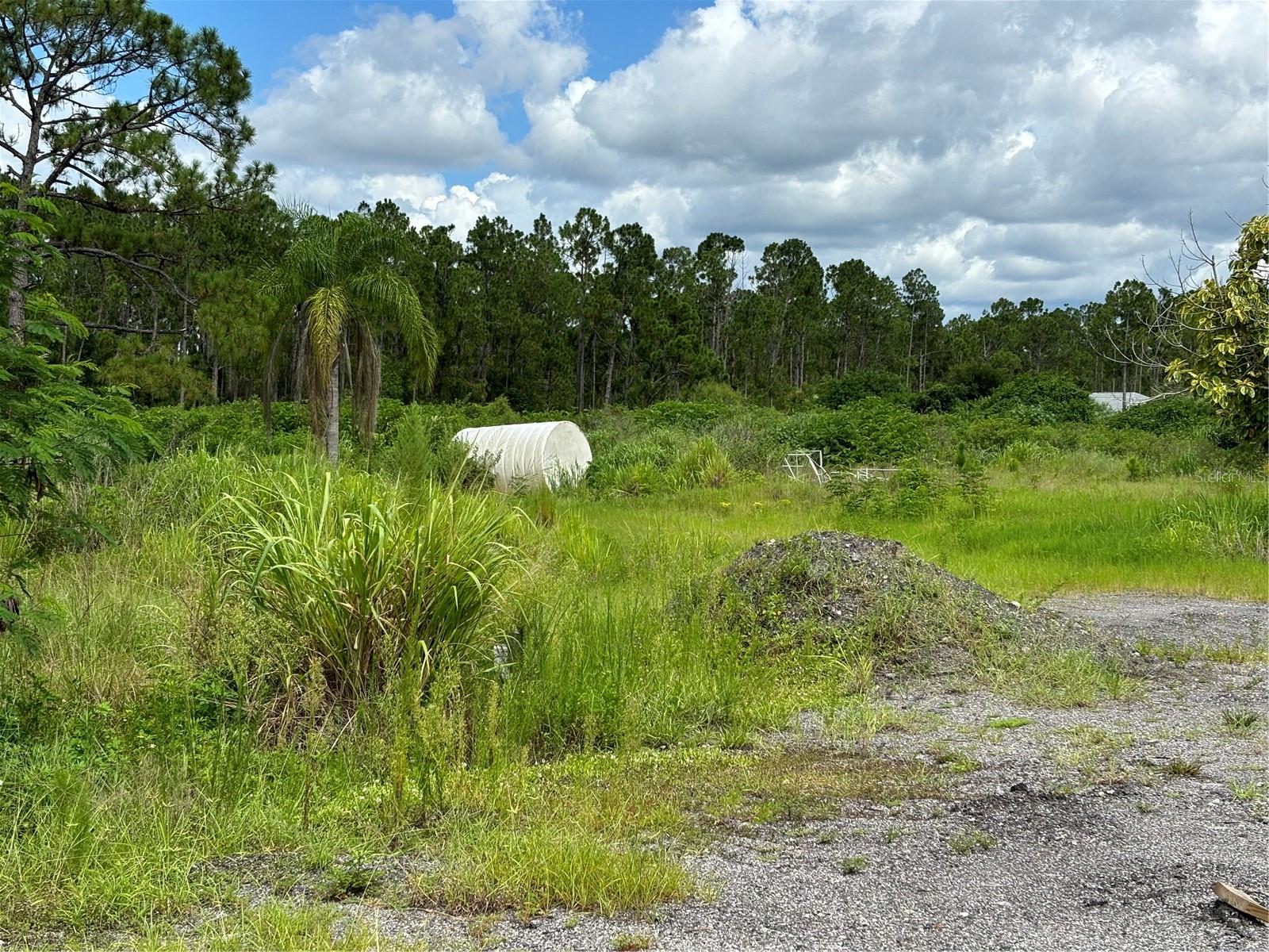 Image 8 of 11 For 2569 Tropicaire Boulevard