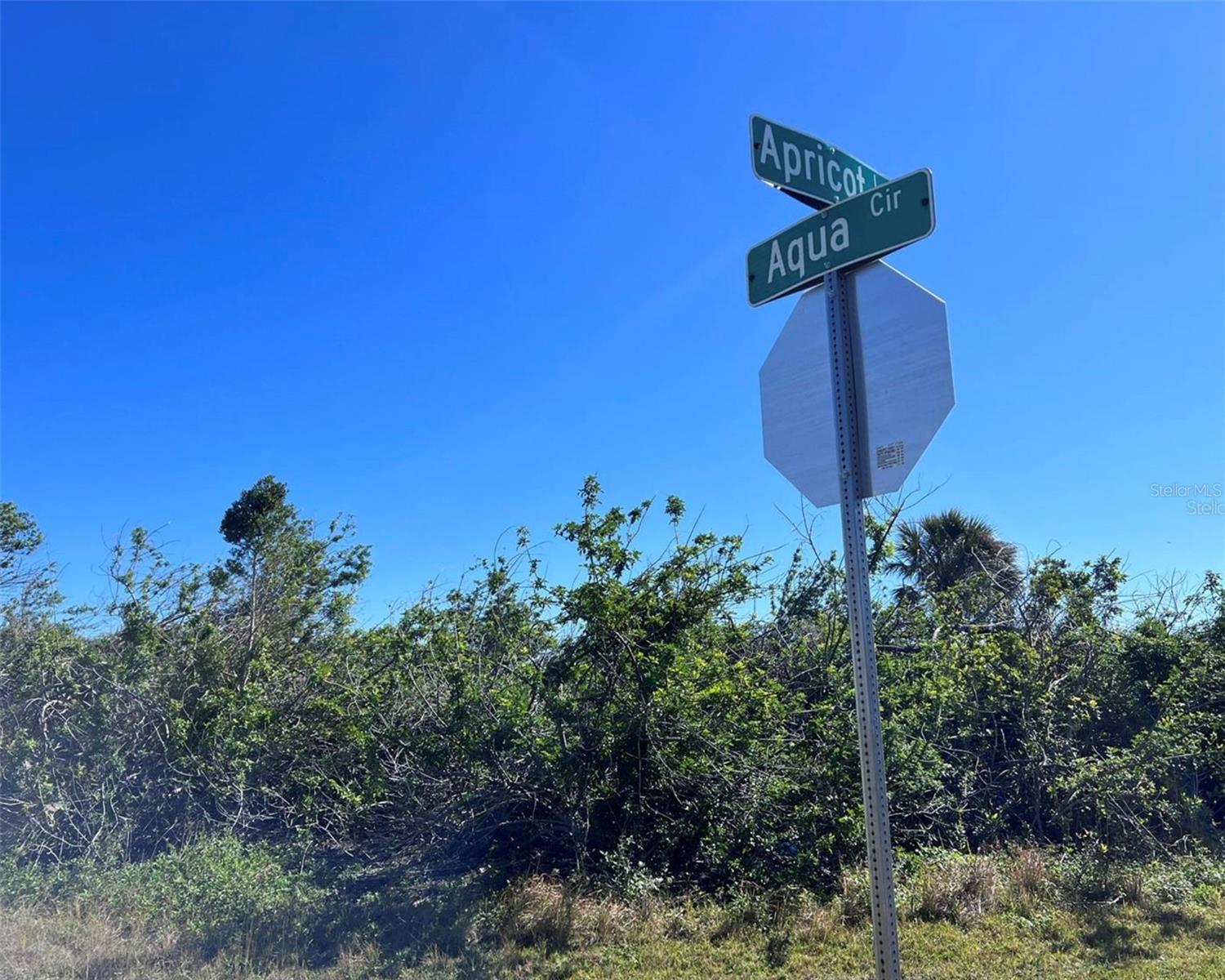 Image 5 of 8 For 15531 Aqua Circle