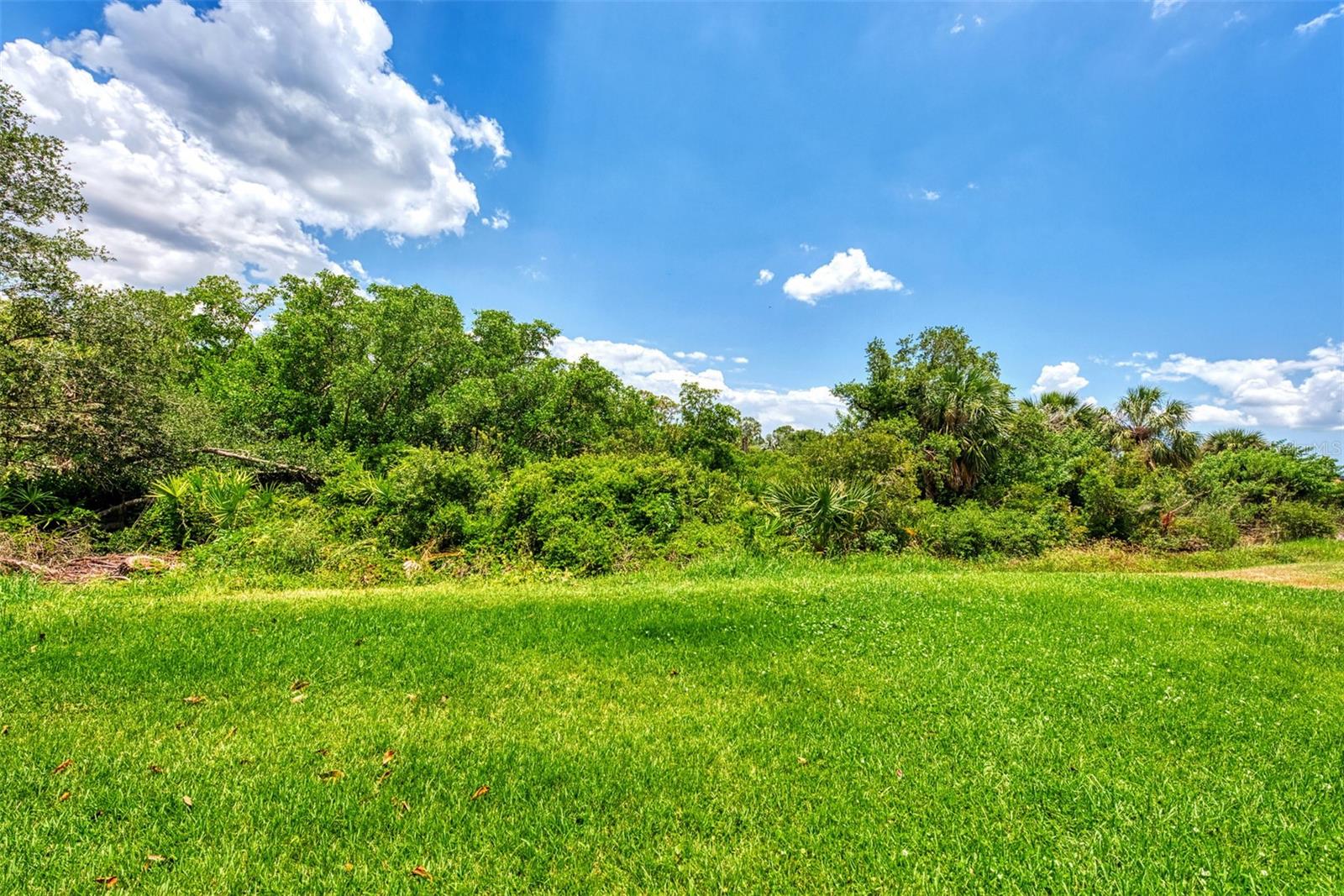 Image 46 of 79 For 2844 Myakka Creek Court