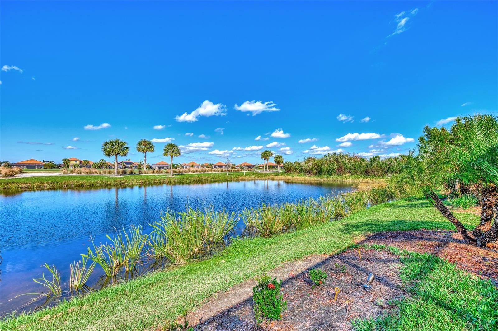 Image 65 of 100 For 25122 Spartina Drive