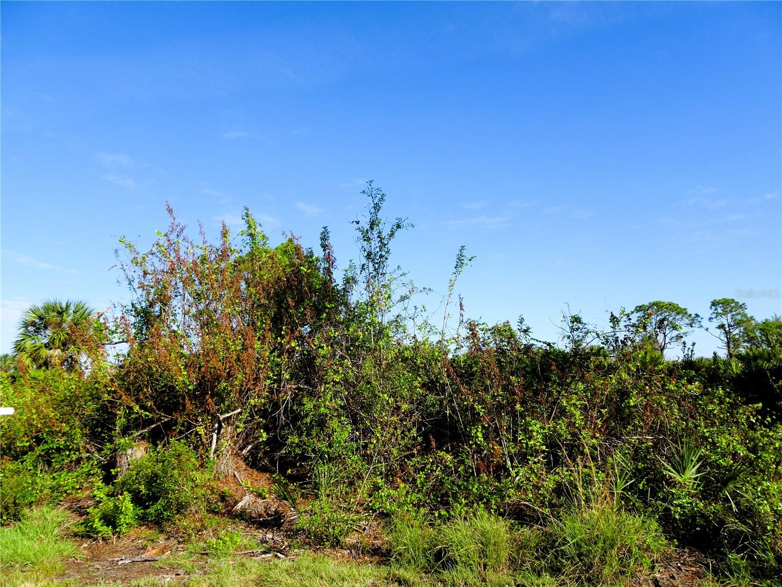 Image 2 of 7 For 12242 Wagner Lane