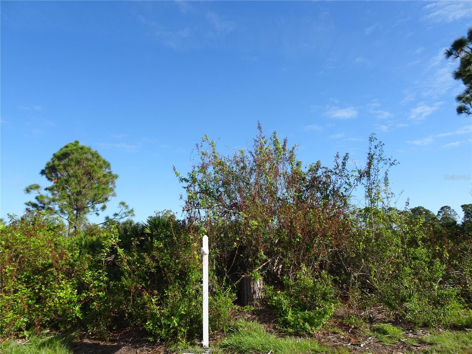 Image 5 of 7 For 12242 Wagner Lane