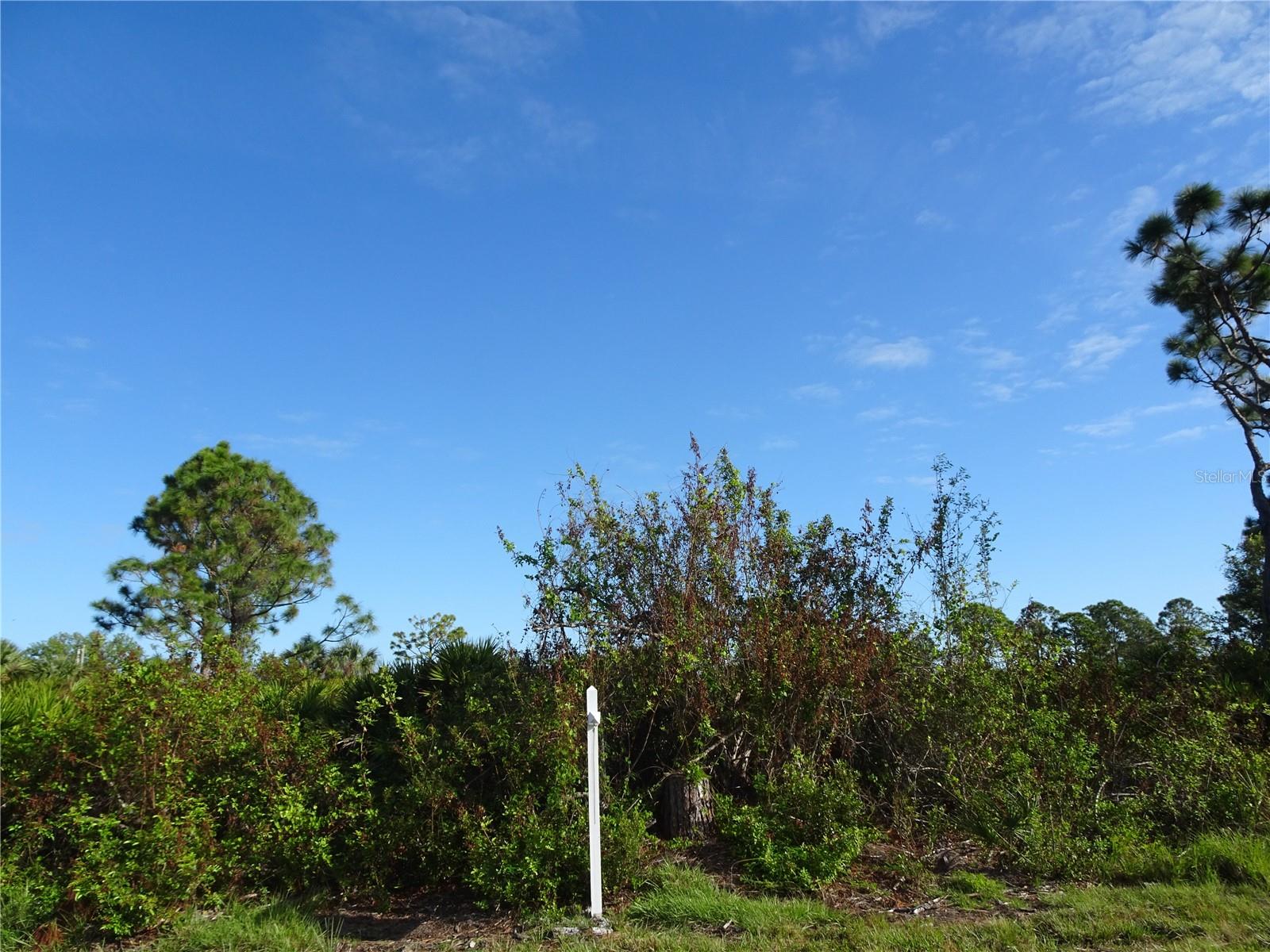 Image 6 of 7 For 12242 Wagner Lane