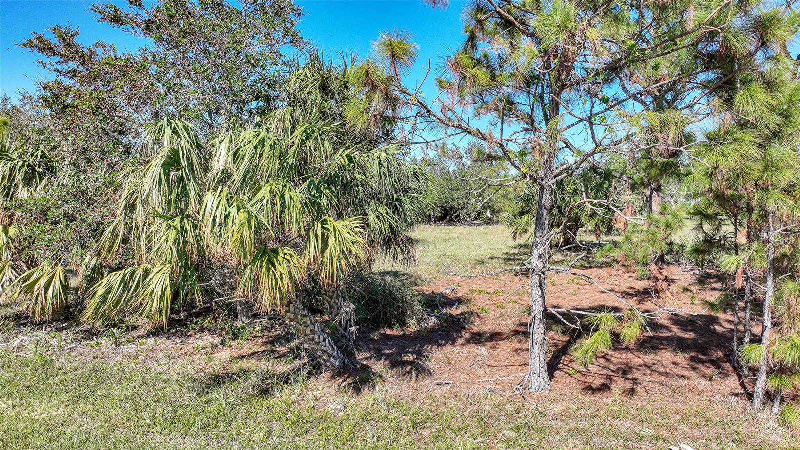 Image 6 of 32 For 9531 & 9551 Horace Circle