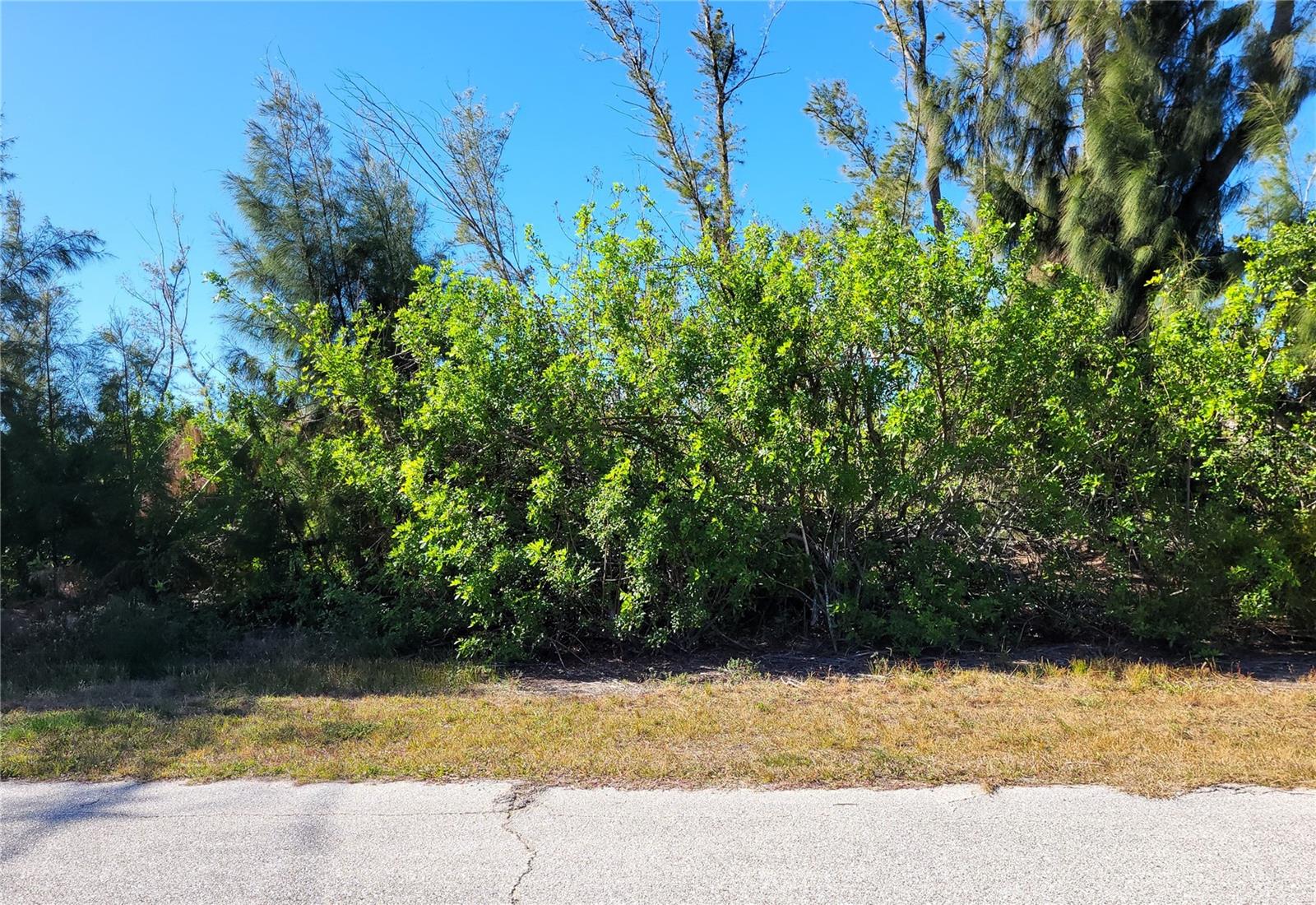 Image 2 of 9 For 10551 Hillwood Drive