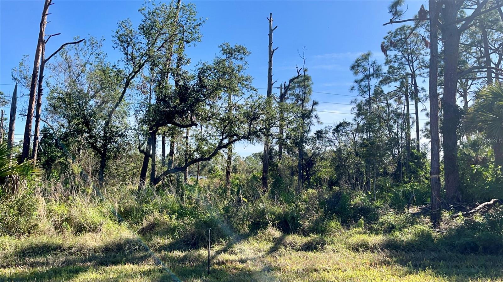 Details for 14864 Rothschild Avenue, PORT CHARLOTTE, FL 33953