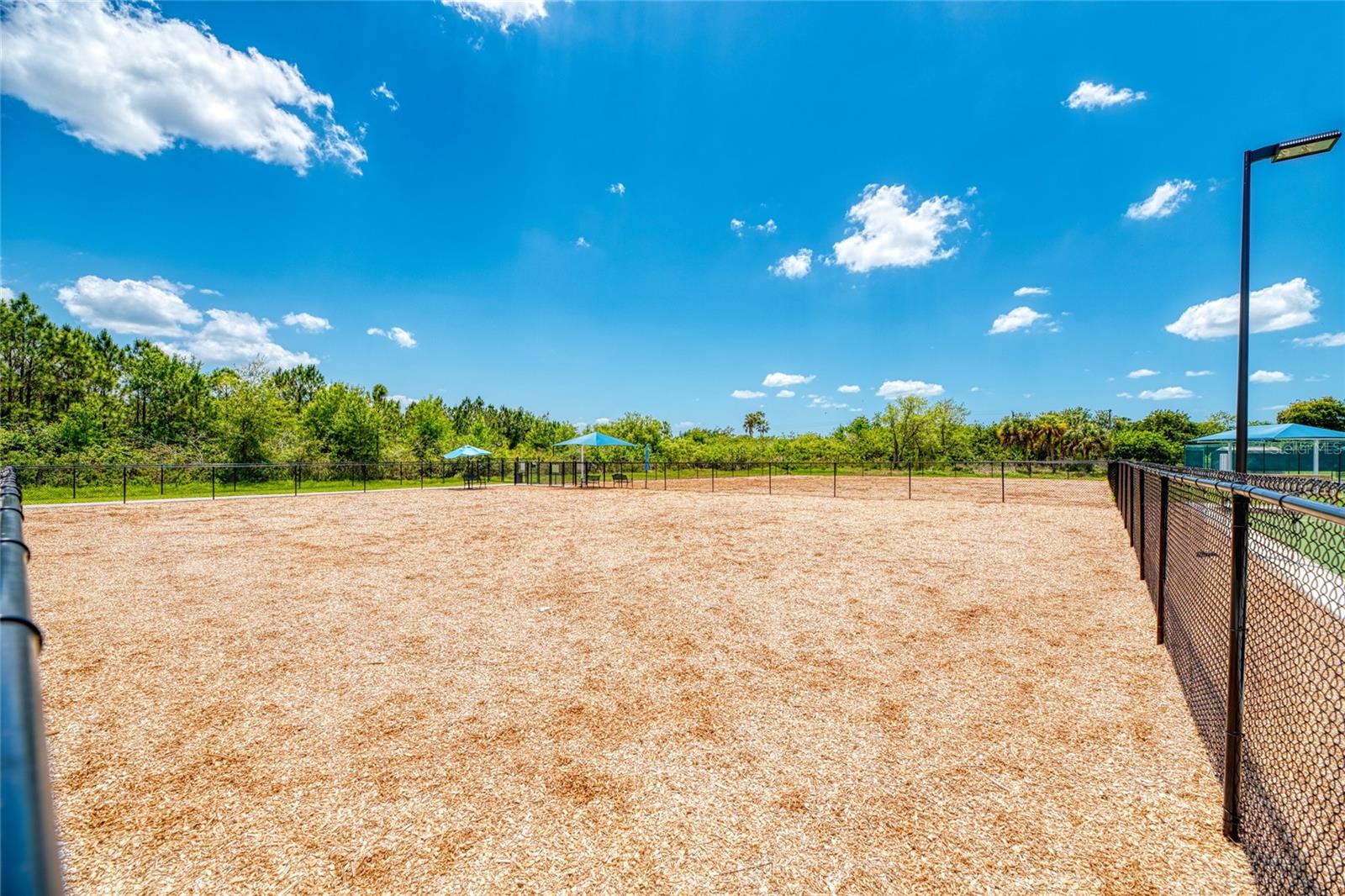 Image 41 of 45 For 13048 Creekside Lane