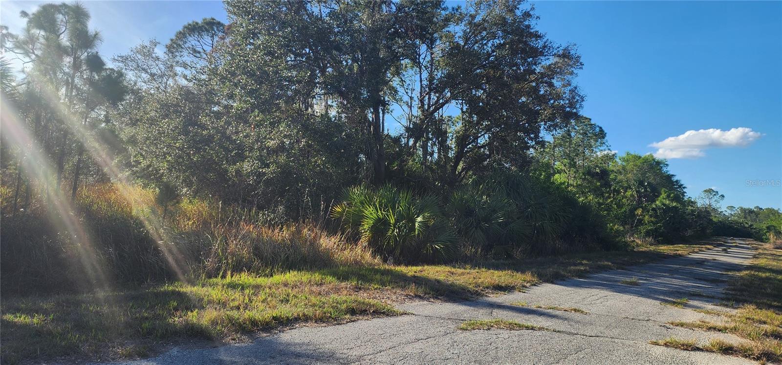 Image 2 of 8 For Ceriman Road