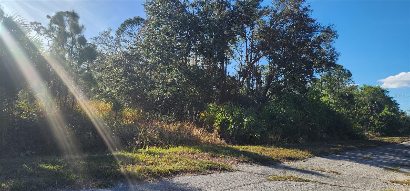Image 4 of 8 For Ceriman Road
