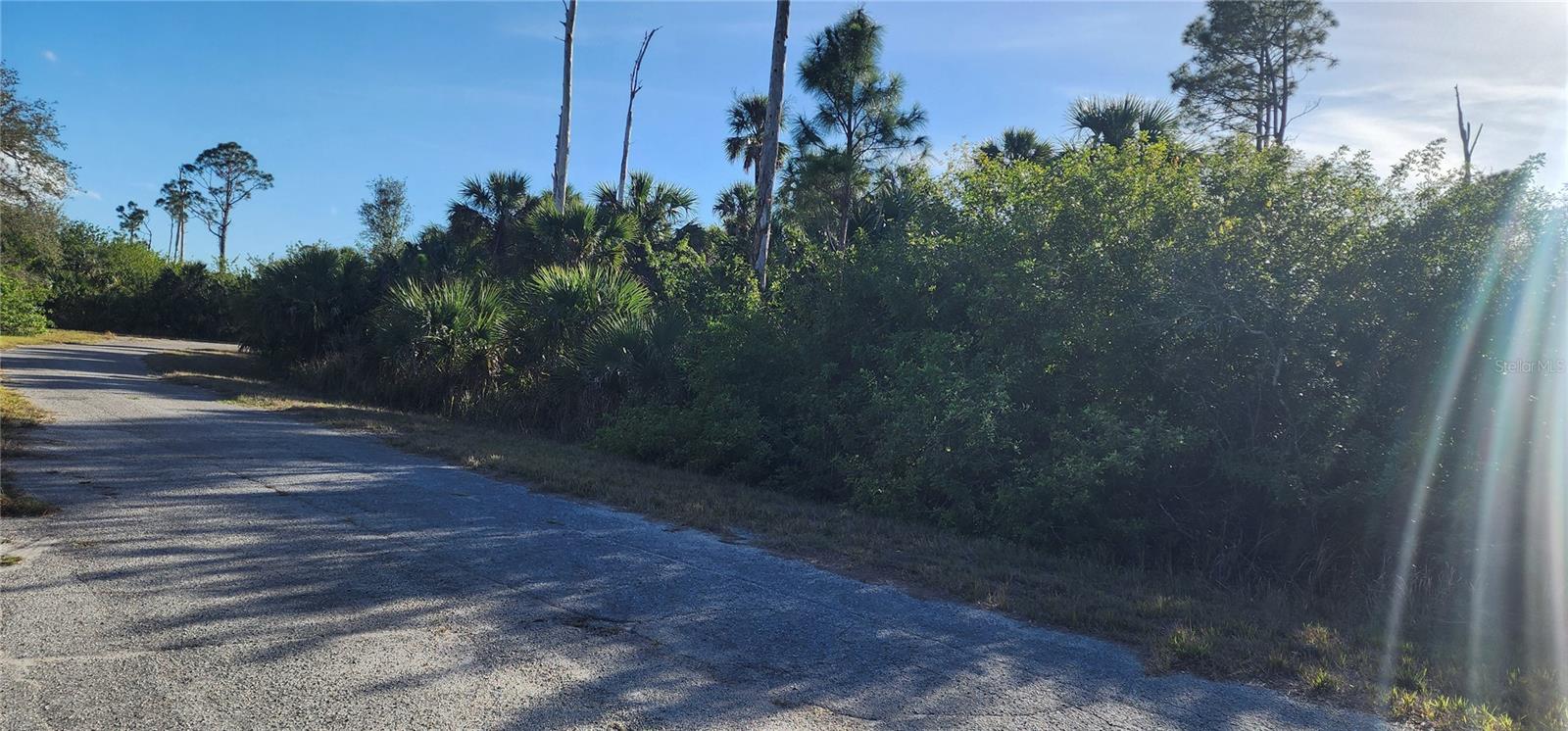 Image 6 of 8 For Ceriman Road