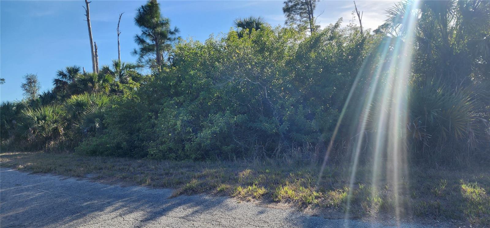Image 7 of 8 For Ceriman Road