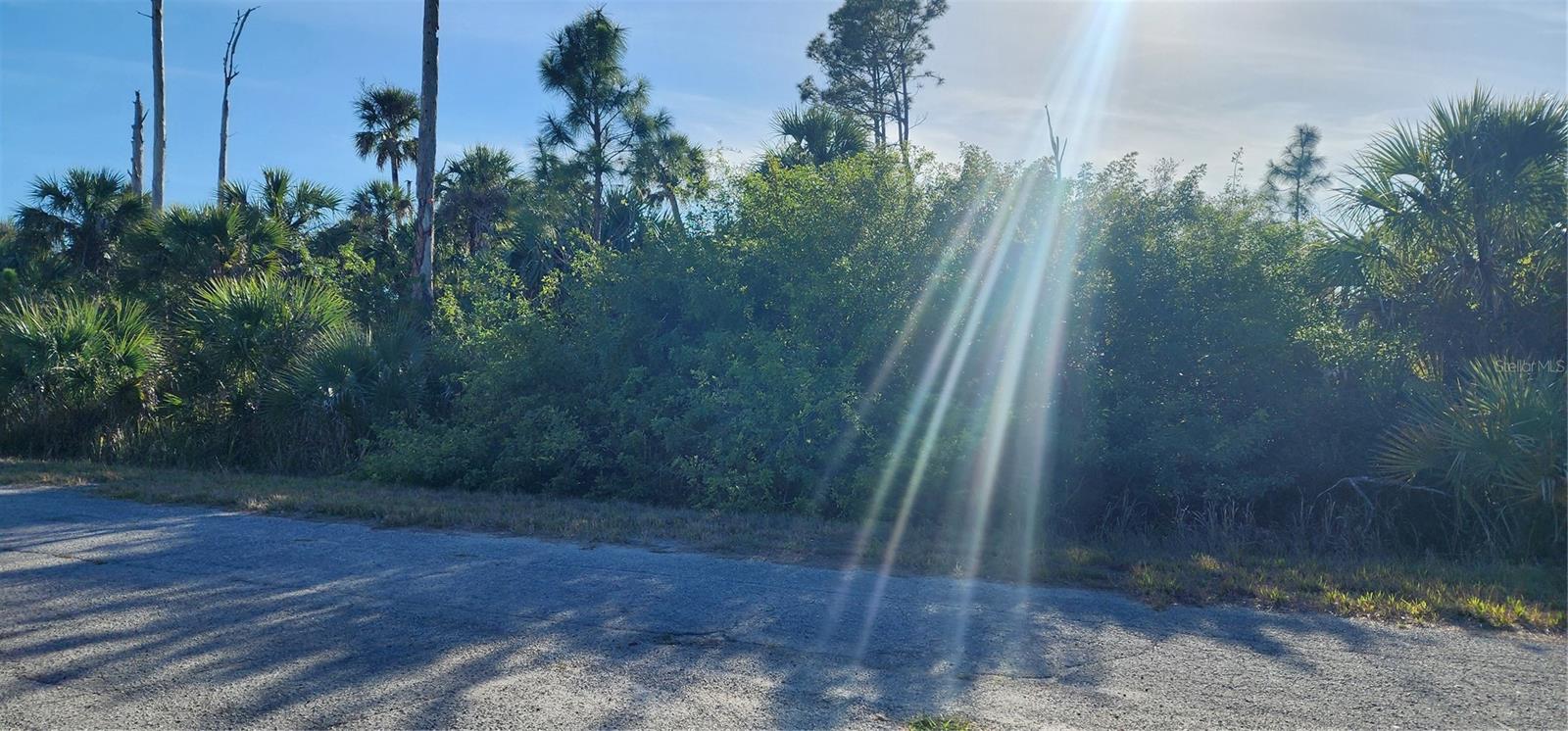 Image 8 of 8 For Ceriman Road