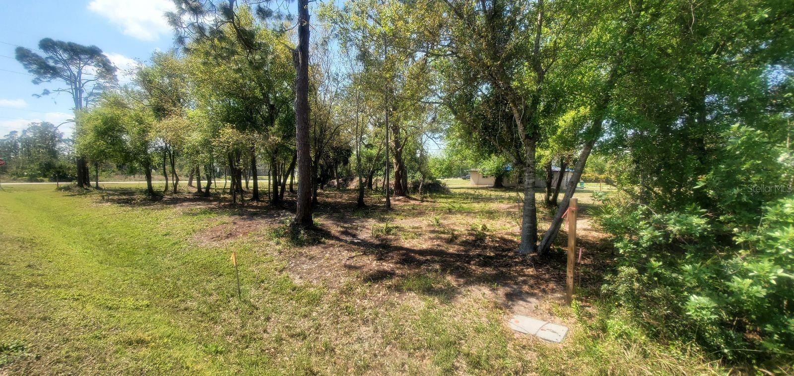 Image 6 of 10 For 11429 Pinetrail Road
