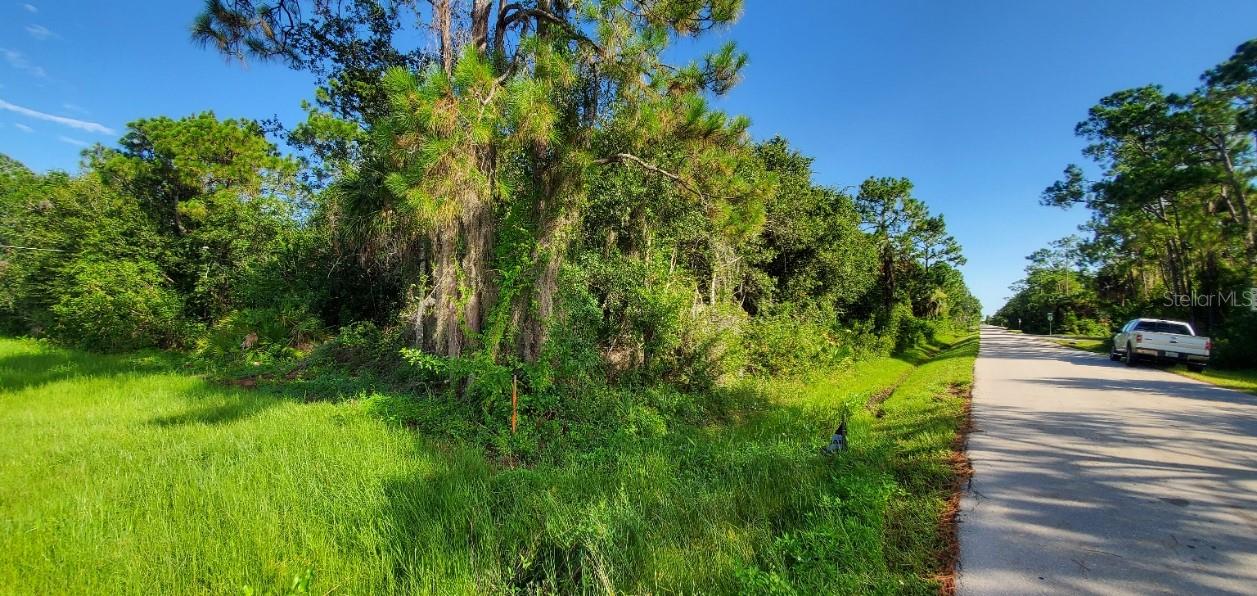 Image 8 of 10 For 11429 Pinetrail Road